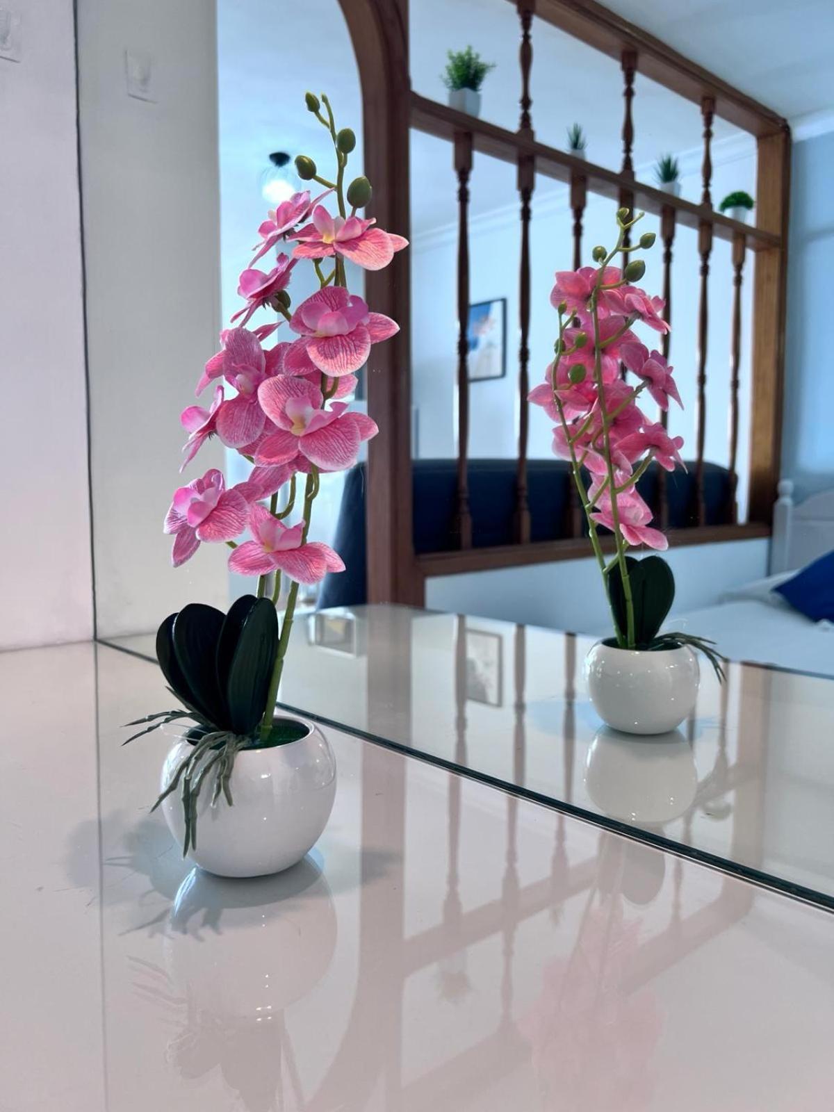 Apartamento-Estudio En La Playa Patalavaca Dış mekan fotoğraf
